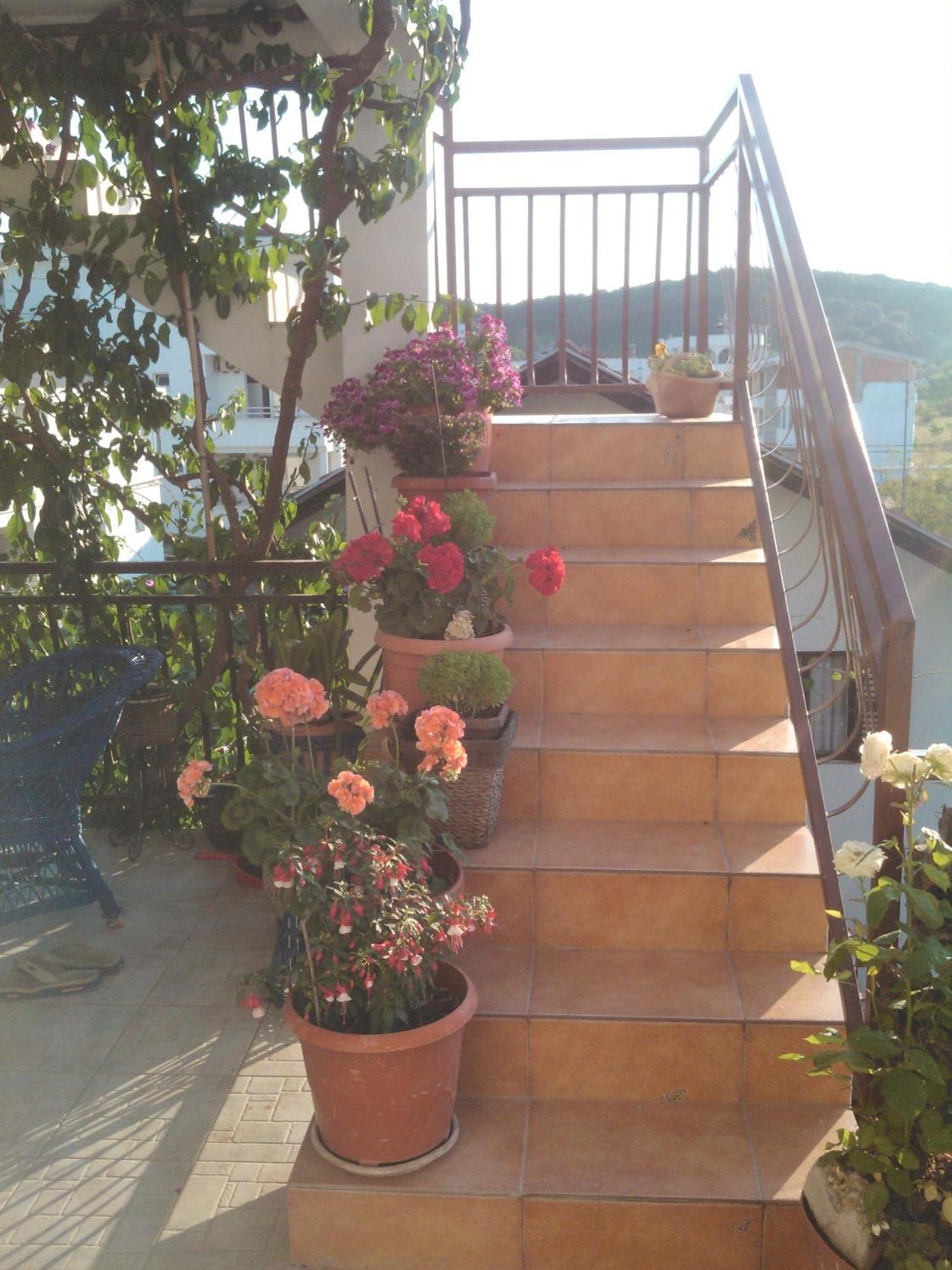 Apartmani Dado Ulcinj Rum bild